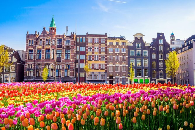 Amsterdam Day Trip from Brussels - The one-hour canal cruise is the day’s strongest feature