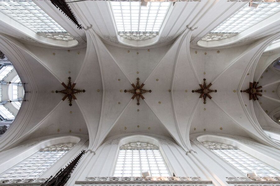 Antwerp: Express Walk with a Local in 60 minutes - Central Station and Meir: a quick look at city life