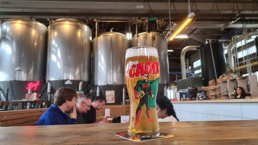Antwerp: Pub Crawl in the Historical City - Who will enjoy this Antwerp walk