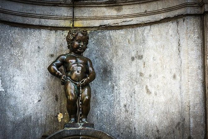 Best of Brussels : Private Luxury Tour - A fast, private introduction to Brussels