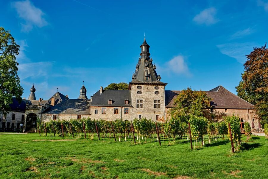 Bioul (near Dinant) : Château de Bioul Tour and Wine Tasting - Inside the château: rooms, objects, and quiet corners
