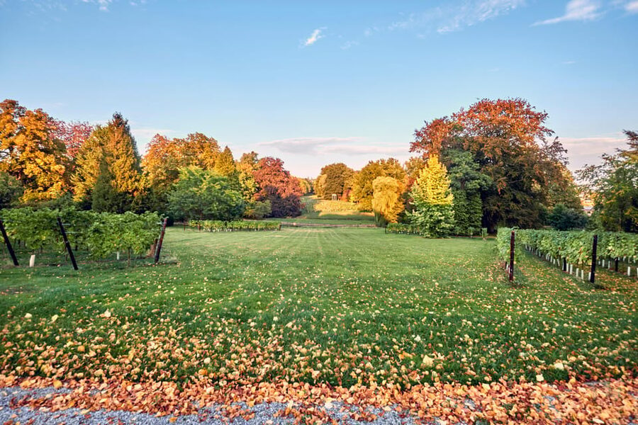Bioul (near Dinant) : Château de Bioul Tour and Wine Tasting - The centenary park and estate grounds