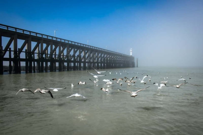 Blankenberge: Offshore Wind Farm Tour by Boat - What the $96 ticket buys you