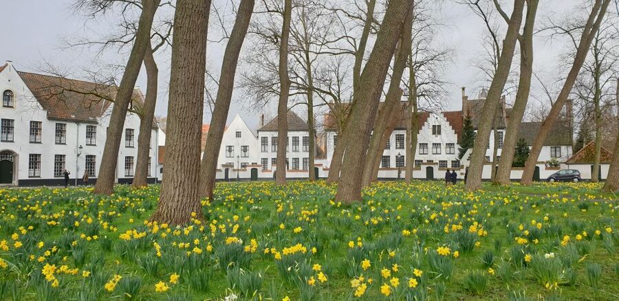 Bruges: 2.5-Hr Walking Tour from train station to Markt - Key points to know before booking