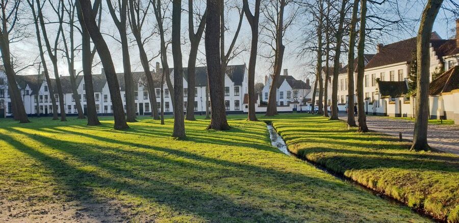 Bruges: 2.5-Hr Walking Tour from train station to Markt - Lake of Love and the Beguinage
