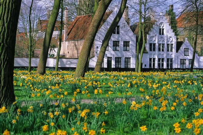 Bruges by bike with friends and family! - Key points at a glance