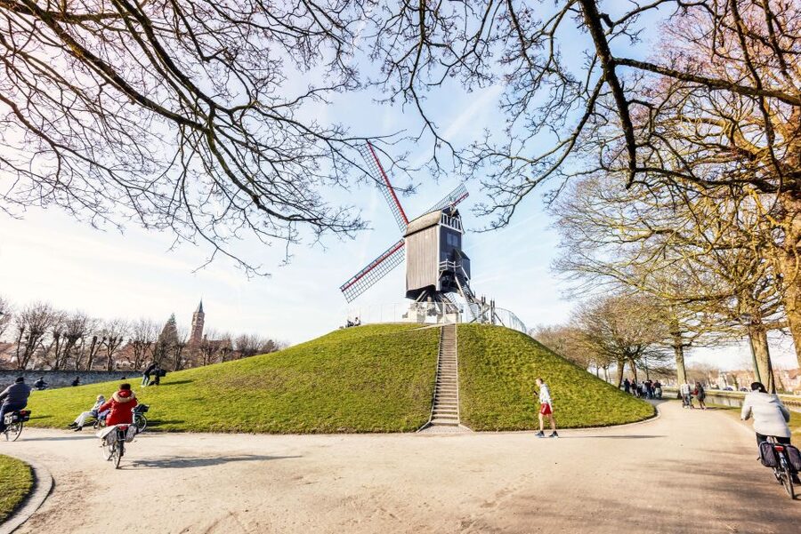 Bruges: Musea Brugge Card with Entry to 11 Museums - What the 72-hour card actually gives you