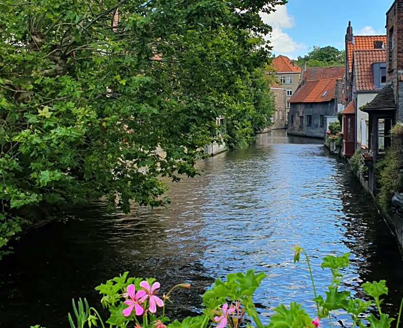 Bruges: Small Group Boat Cruise and Guided Walking Tour - How much value do you get for $51?