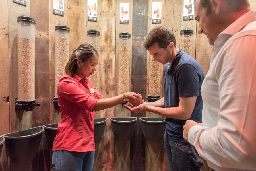 Bruges: The Beer Experience Museum Entry with Audio Guide - Understanding four kinds of fermentation