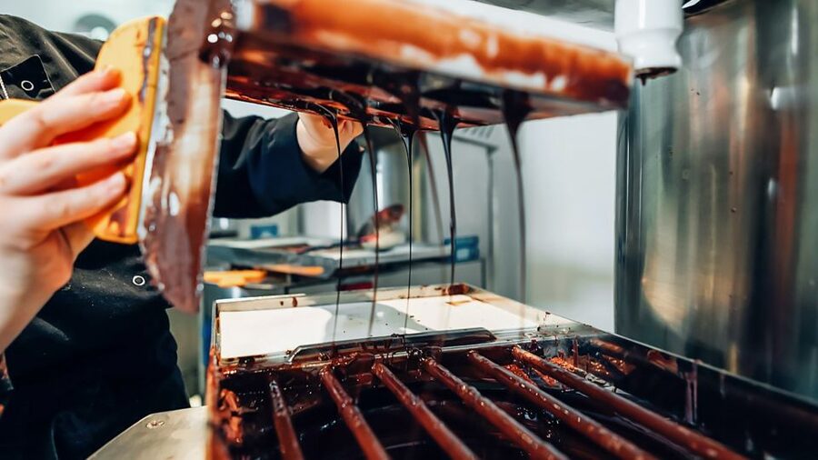 Brussels: Belgian Chocolate Making Workshop with Tastings - Patricia and the teaching style