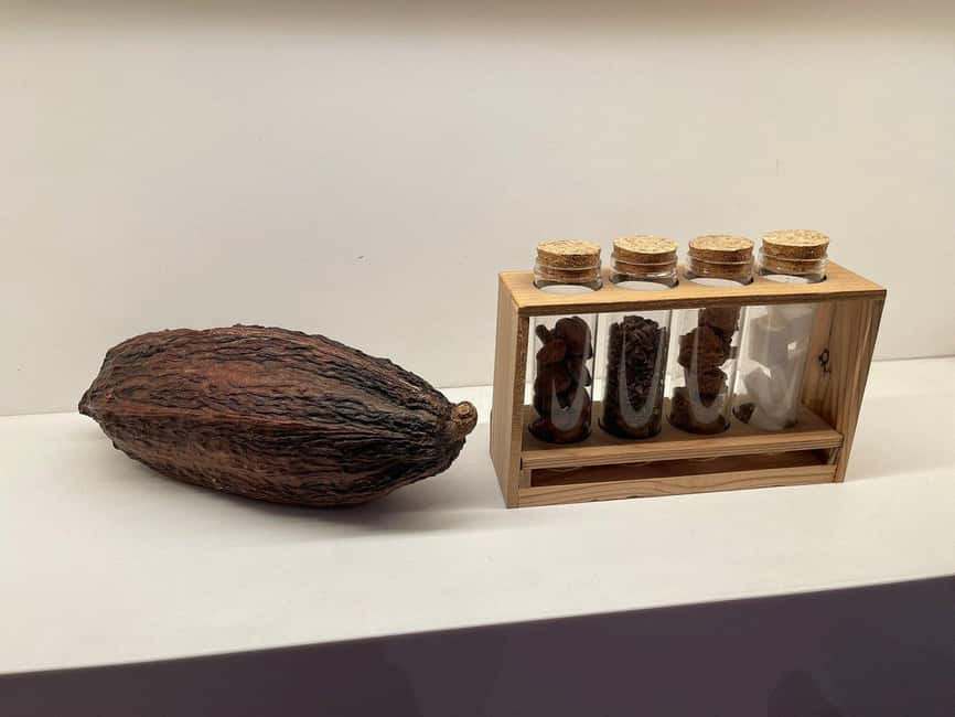 Brussels: Chocolate Appreciation and Tasting Walking Tour - Key points at a glance