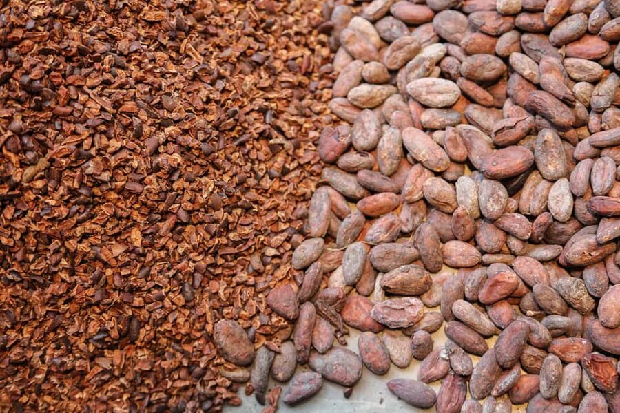 Brussels: Chocolate Appreciation and Tasting Walking Tour - Practical planning before you reserve