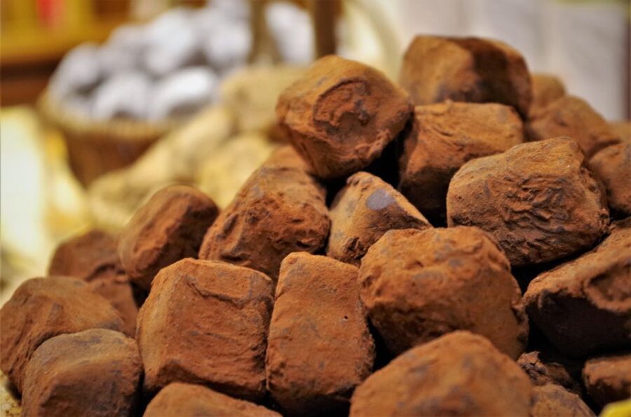 Brussels: Chocolate Workshop and Guided Walking Tour - What the guides add to the experience