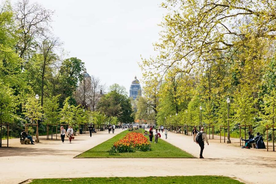 Brussels: City Highlights and Hidden Gems Bike Tour - The café pause and the human side of the ride