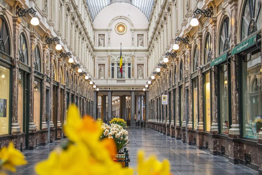 Brussels: Express Walk with a Local in 60 minutes - Grand Place: Brussels in one grand view
