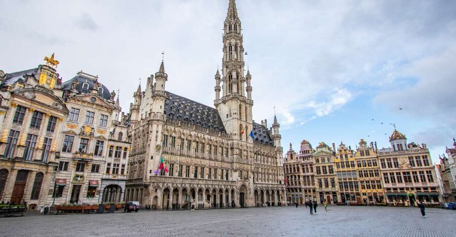 Brussels: Express Walk with a Local in 60 minutes - The short format: useful, but limited