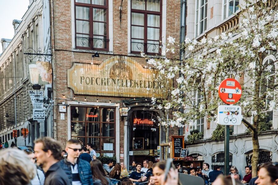 Brussels: Highlights & Hidden Gems Private Walking Tour - What the private format is worth at $132