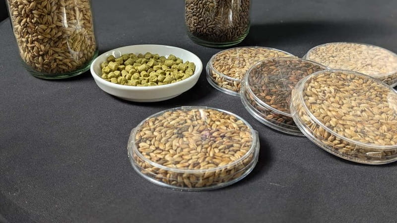 Brussels: micro brewery & distillery tour + beer tasting - What happens during the one-hour tour