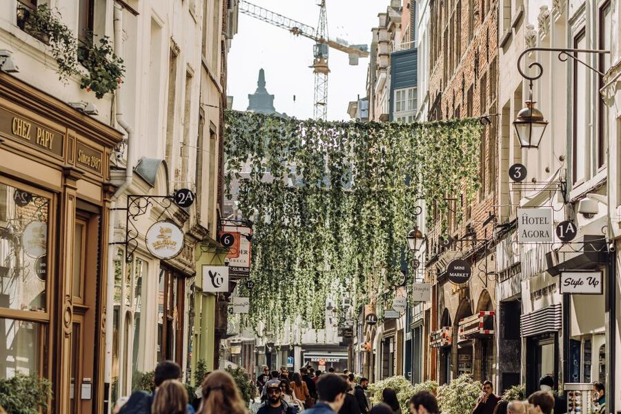 Brussels: Private Tour of the European Quarter - The guide can make or break the experience