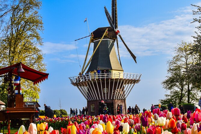 Delft and Keukenhof Gardens Tour from Brussels - Markt square and Delft’s two churches