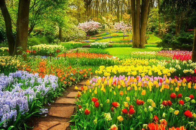 Delft and Keukenhof Gardens Tour from Brussels - Coach travel from Brussels