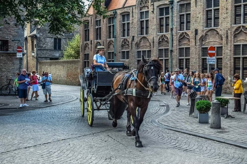 From Amsterdam: Private Sightseeing Tour to Bruges - Leaving Amsterdam in a private car