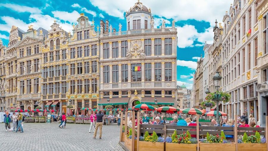 From Amsterdam: Private Sightseeing Tour to Brussels - Comfort, timing, and the traffic question