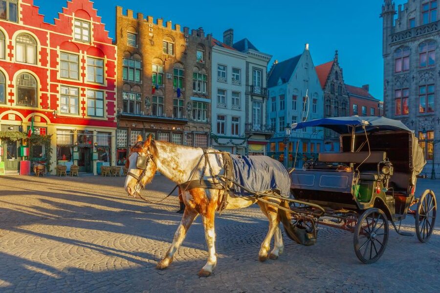 From Paris: Day Trip to Bruges with Optional Seasonal Cruise - Leaving Paris from Hotel Pullman Paris Bercy