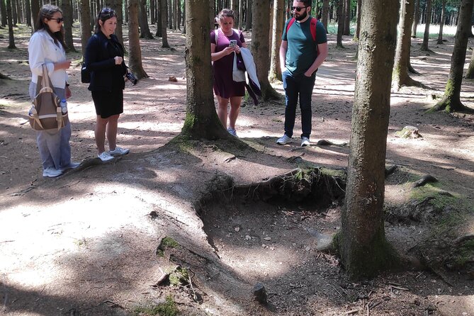 Historic Battle of the Bulge Sites Tour from Brussels - Bastogne Barracks and the famous cellar