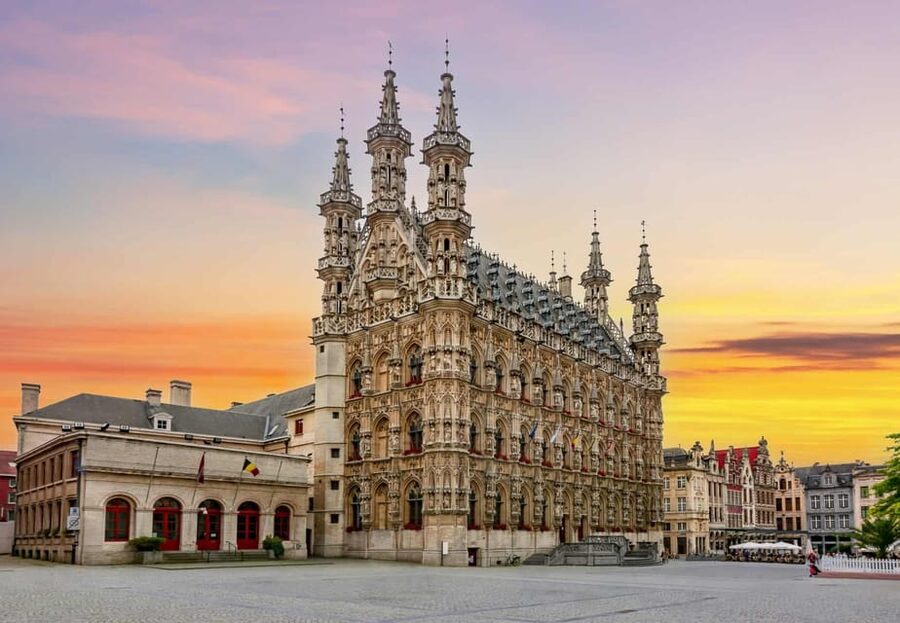 Historical Leuven: Private Walking Tour with a Local Guide - Who will get the most from this walk