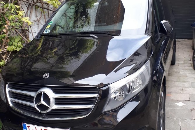 Luxury Minivan from Brussels airport to the city of Brussels - A private group of up to eight people