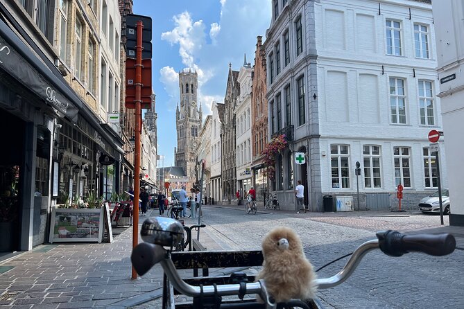Private Full-Day Tour Bruges & Ghent from Brussels with tastings - Should you book this Bruges and Ghent tour?