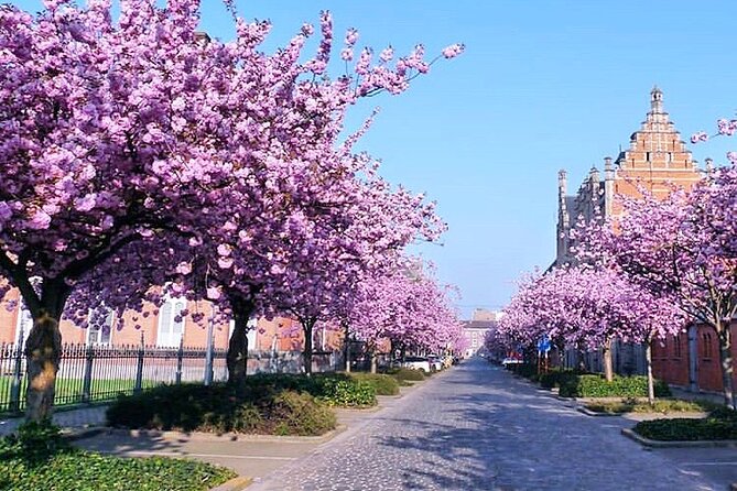 Private Hidden Gems Walking Tour in Ghent - How the private format helps families