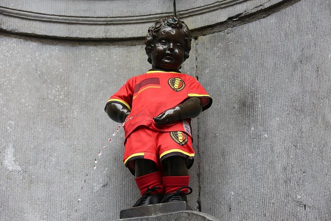 Private tour : Best of Brussels half day From Brussels - What the private vehicle adds