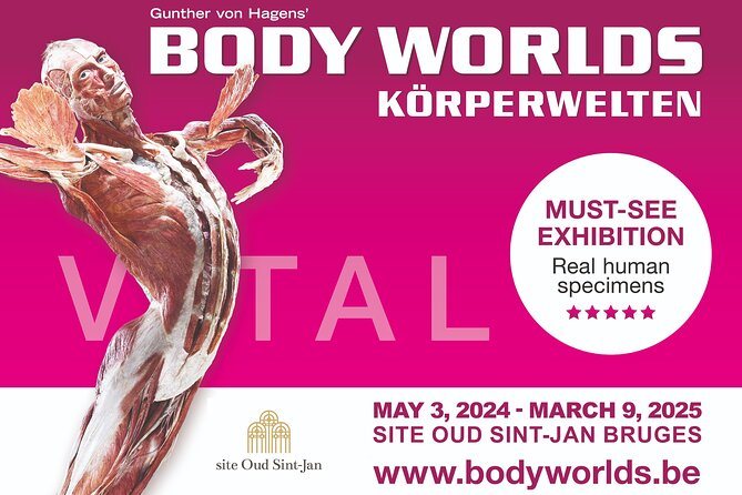 Ticket Expo Body Worlds in Bruges, Belgium - Inside the 19th-Century Old St. John Site