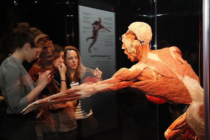 Ticket Expo Body Worlds in Bruges, Belgium - How Plastination Is Explained