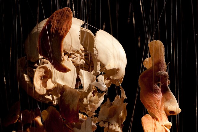 Ticket Expo Body Worlds in Bruges, Belgium - Is $81 a Fair Price?