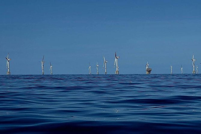 Unforgettable sea trip to the wind farms in the North Sea - Seeing turbines from a safe distance